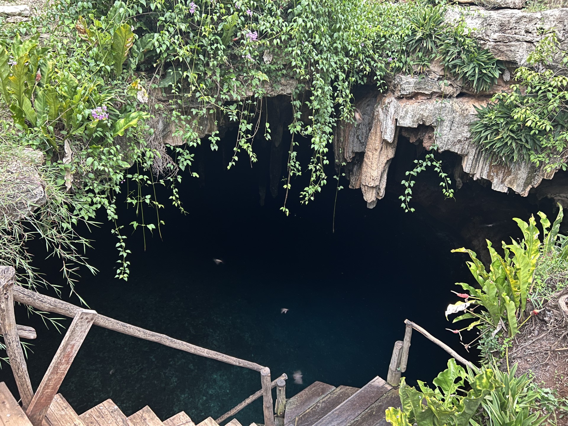 Beautiful cenote Kankirixche around the temples of Uxmal.