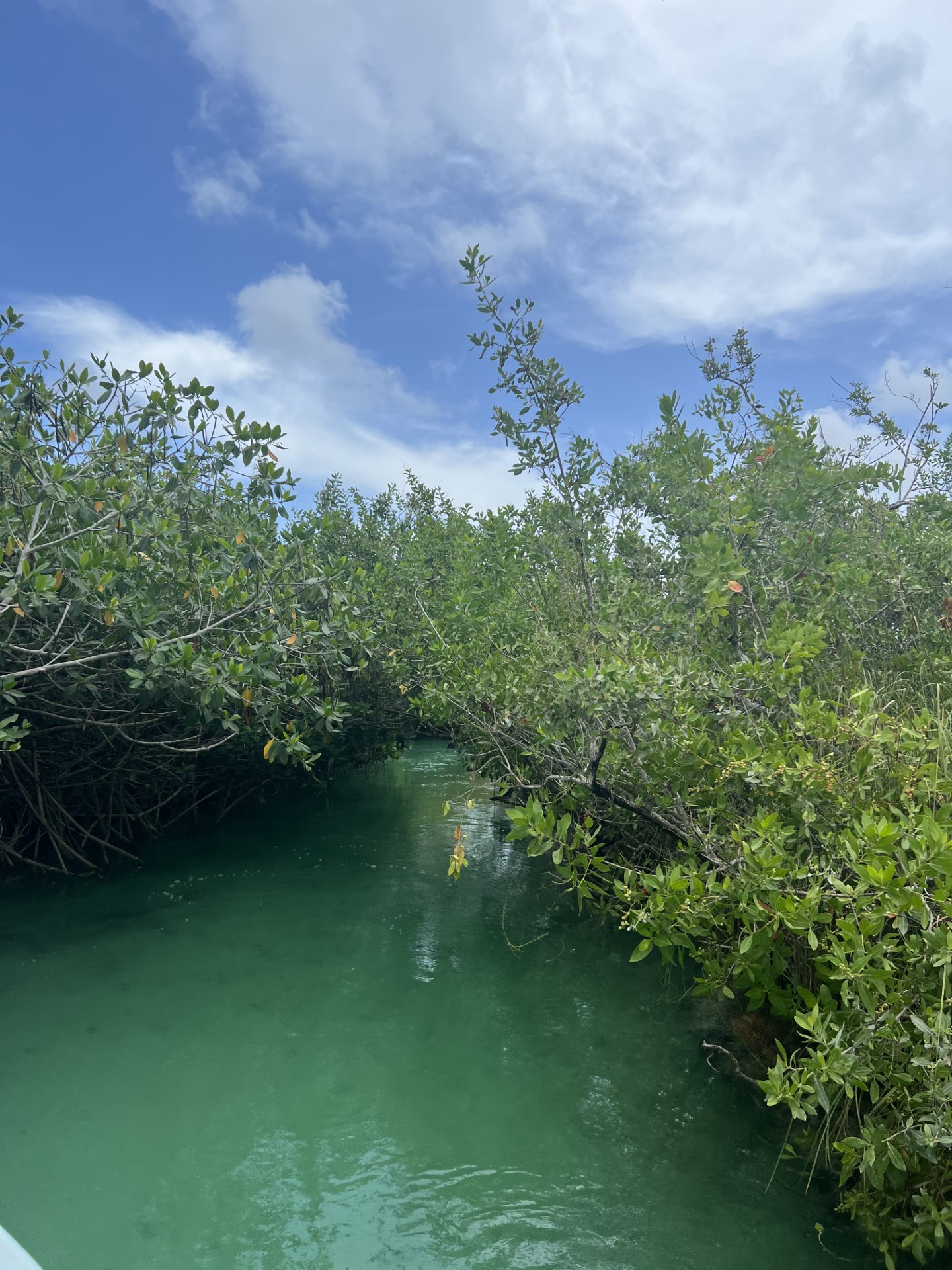 canal float into the river