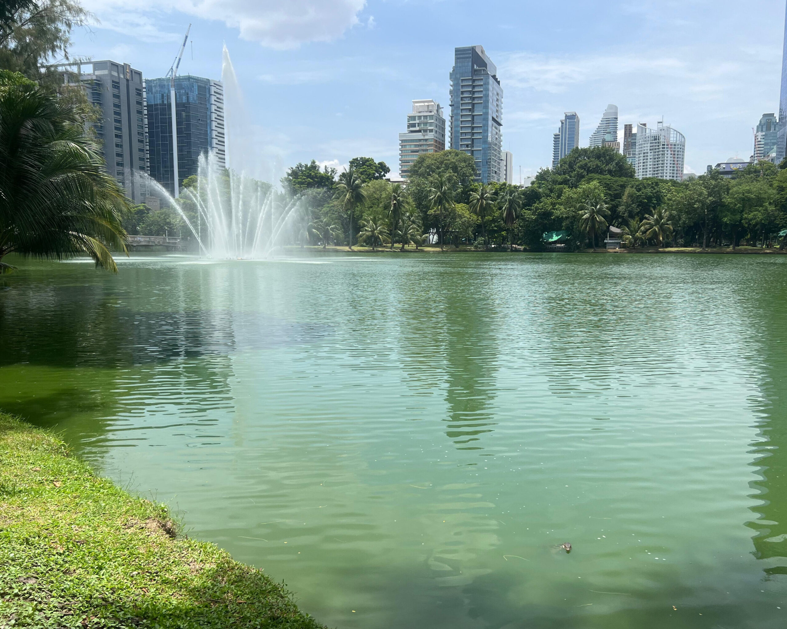 Lumphini Park is a great spot to end your day in a calm, green space right in the middle of the city. It was actually Bangkok’s first public park. You cannot miss the giant monitor lizards roaming around 