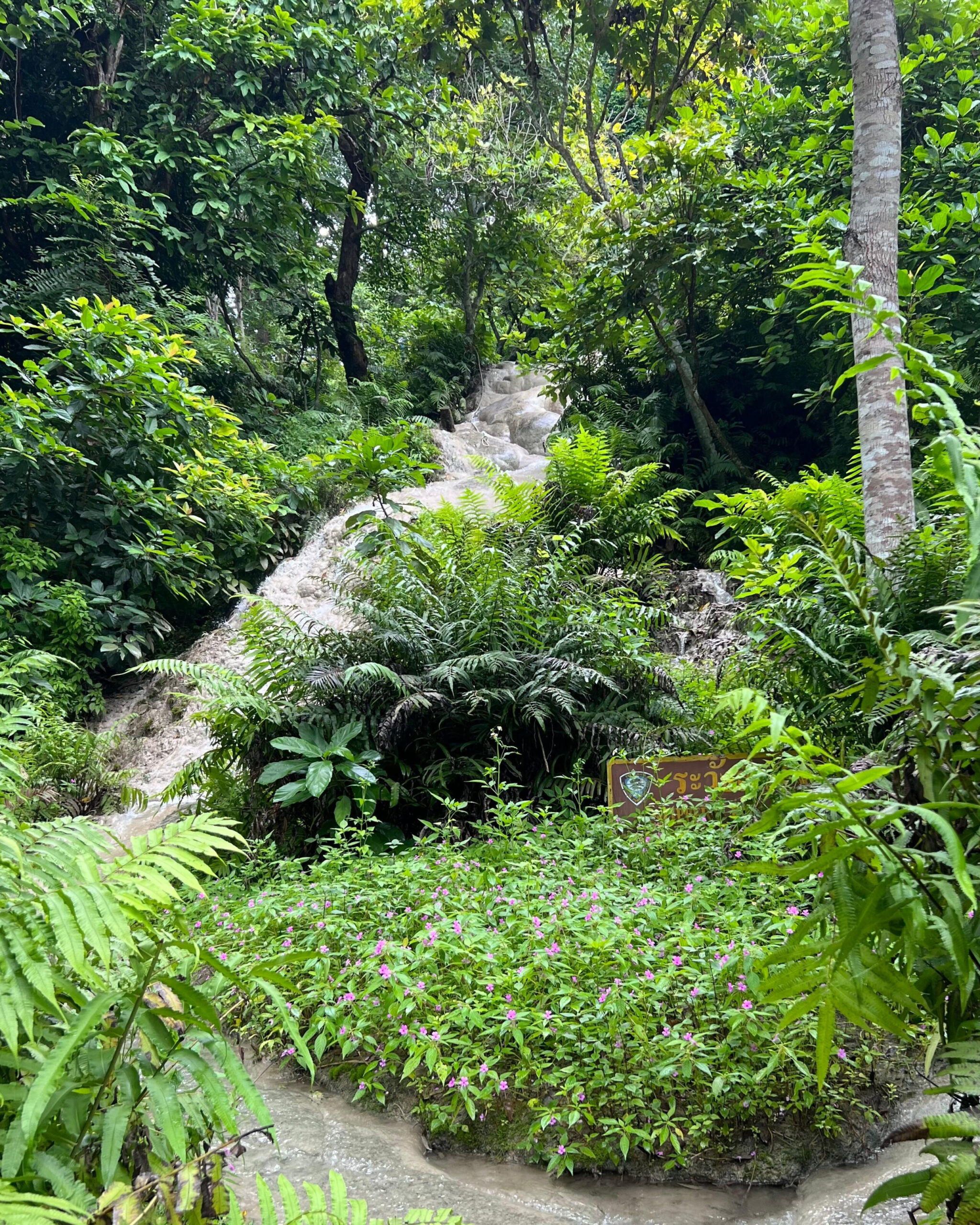 Buatong Waterfall, the waterfall is known for having water that ''stick'