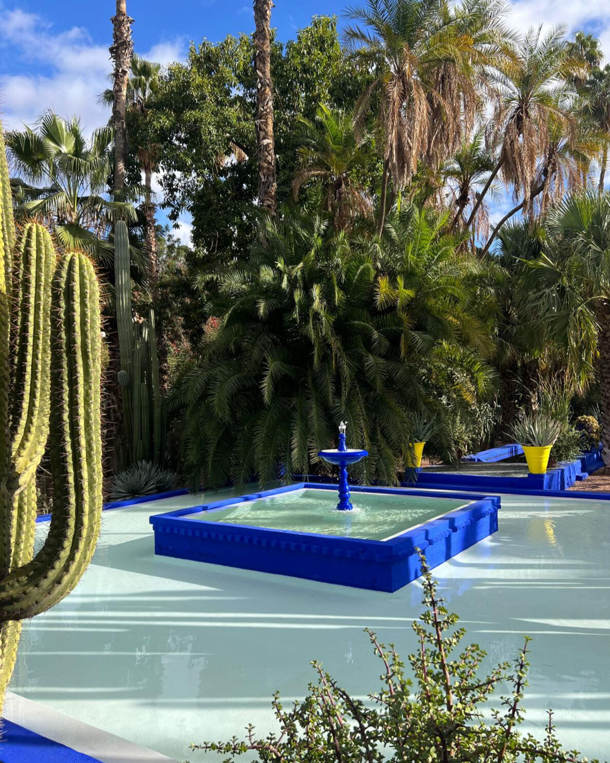 It was created by French painter Jacques Majorelle and later restored by Yves Saint Laurent. Jardin Majorelle is famous for its remarkable cobalt blue color