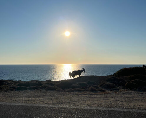 Dodecanese islands: Karpathos and Rhodes